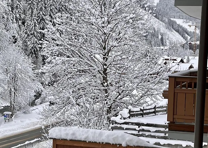 Drei Berge 4 ザールバッハ・ヒンターグレム